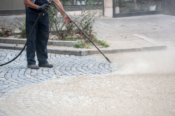 Best Sign and Awning Cleaning  in Robbins, IL